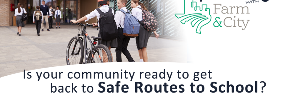 Policy Hacking: Safe Routes to School